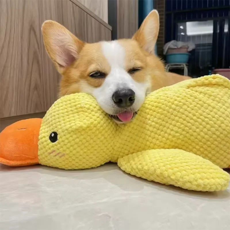 P09 - Dog Toy Stomping Duck Bite Resistant