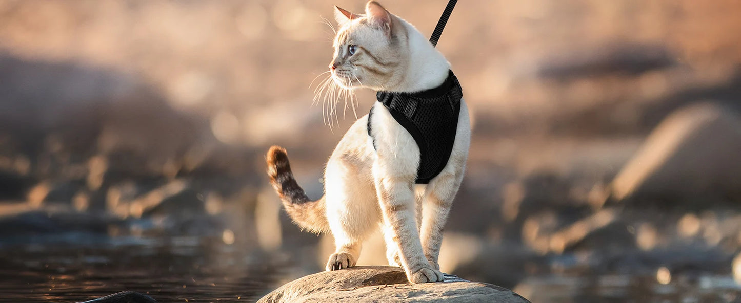 P06 - Cat Harness and Leash for Walking, Escape Proof Soft Adjustable Vest Harnesses for Cats