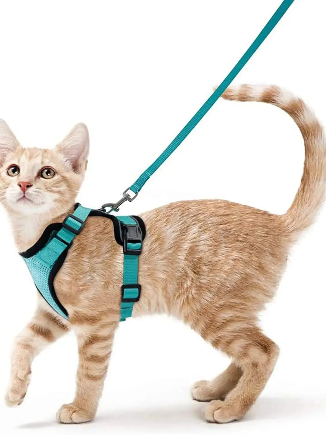 P06 - Cat Harness and Leash for Walking, Escape Proof Soft Adjustable Vest Harnesses for Cats