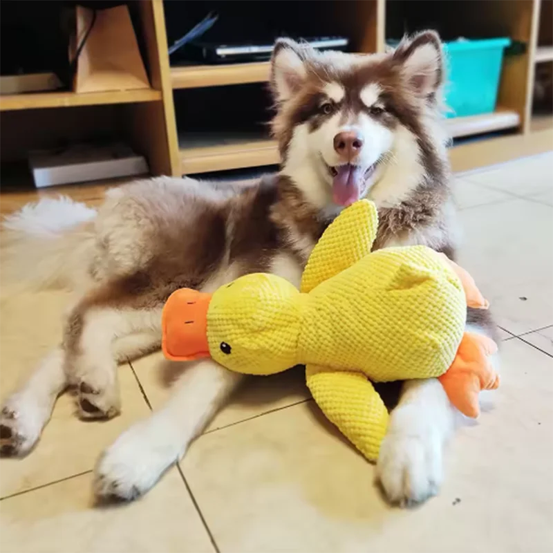 P09 - Dog Toy Stomping Duck Bite Resistant