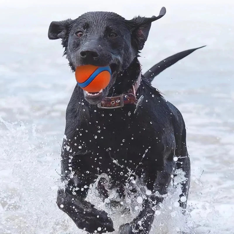 P11 - Dog Toy Ball Dog Fetch Ball Toy