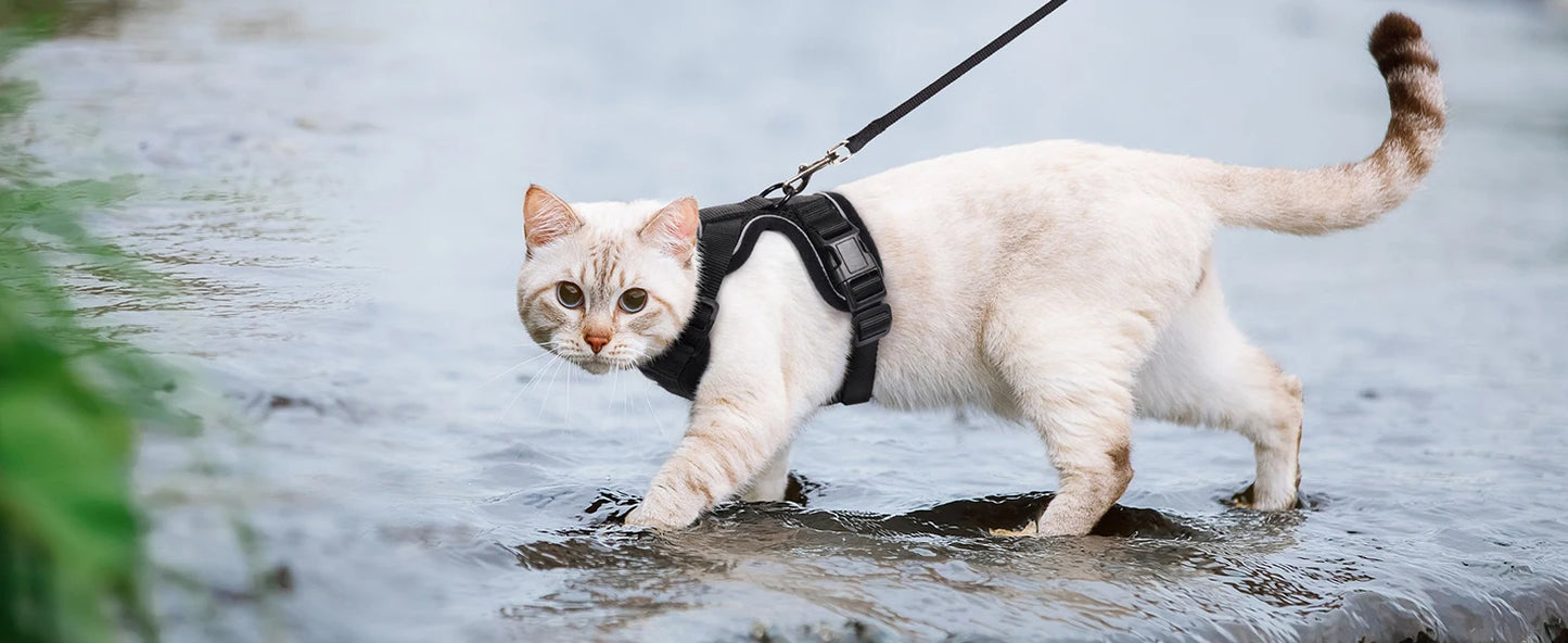 P06 - Cat Harness and Leash for Walking, Escape Proof Soft Adjustable Vest Harnesses for Cats