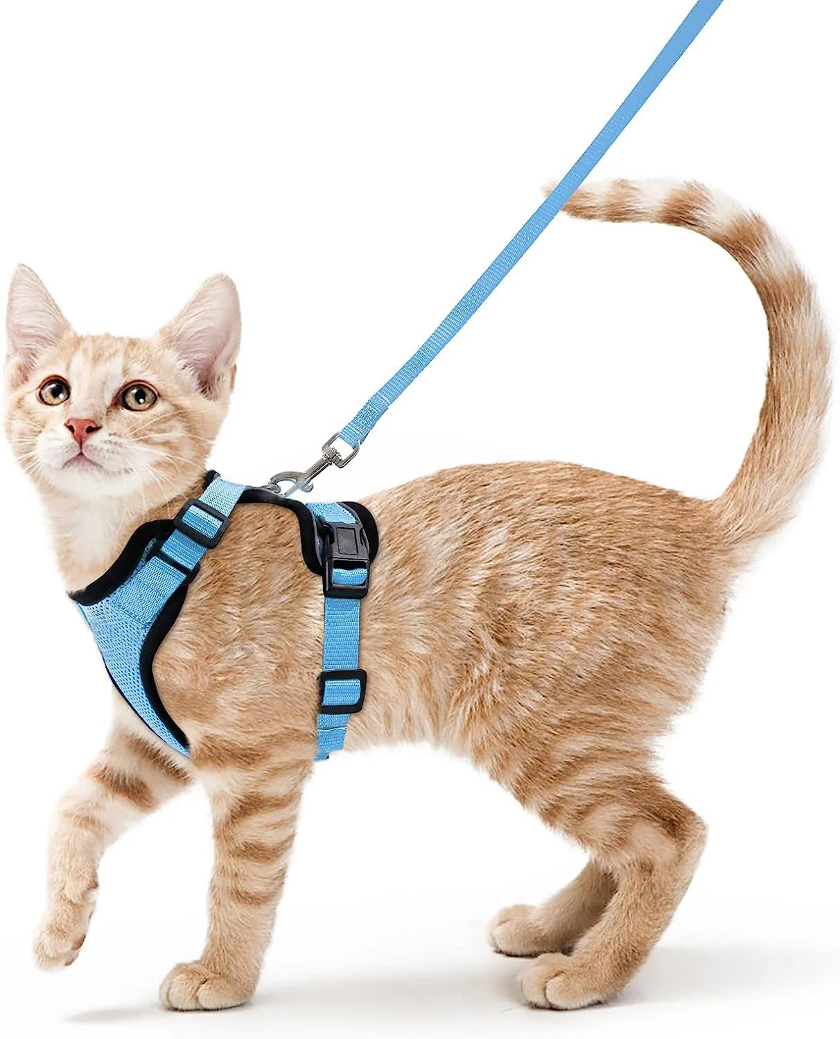 P06 - Cat Harness and Leash for Walking, Escape Proof Soft Adjustable Vest Harnesses for Cats