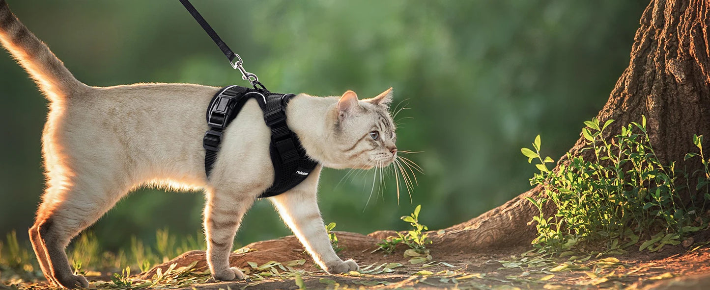P06 - Cat Harness and Leash for Walking, Escape Proof Soft Adjustable Vest Harnesses for Cats