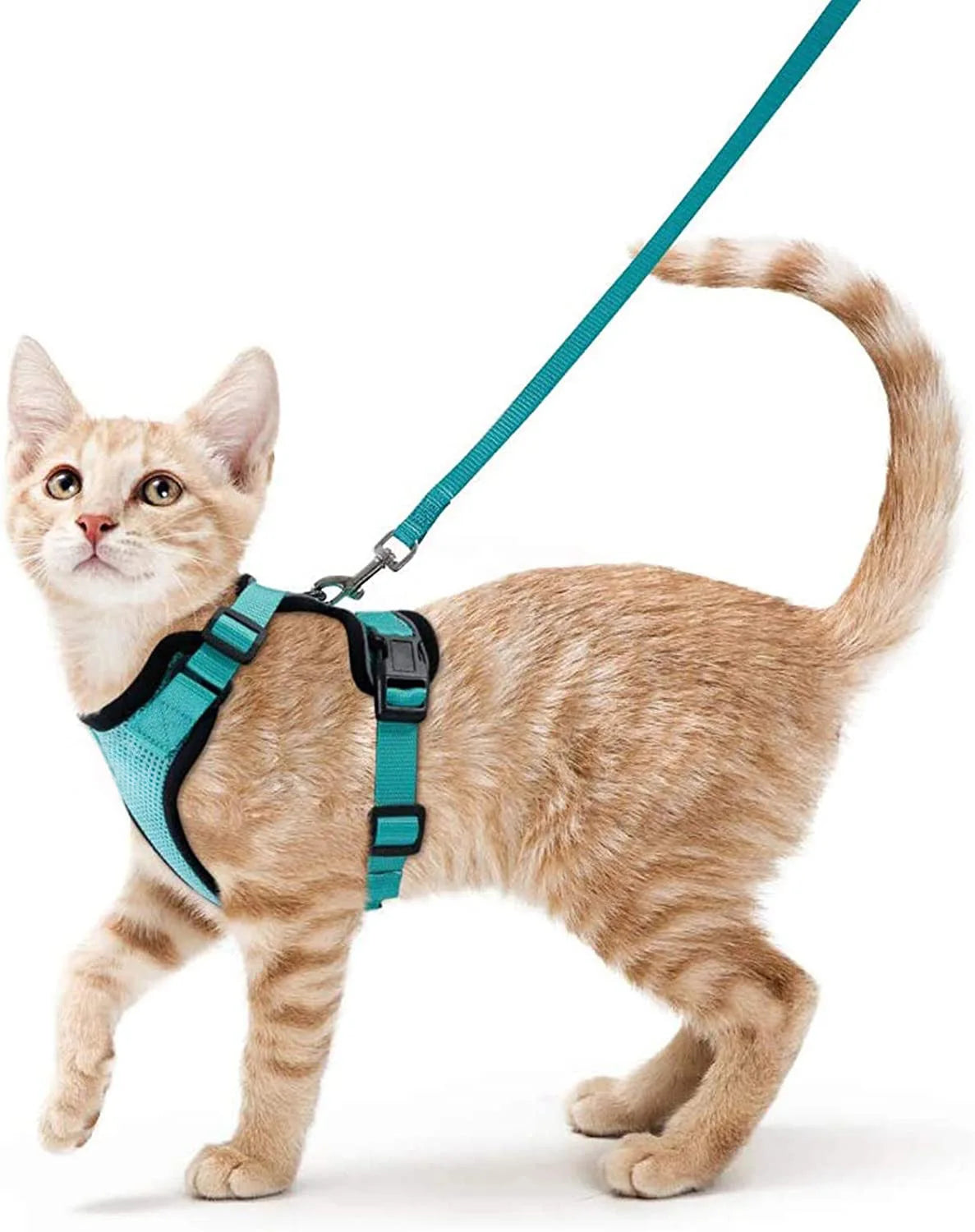 P06 - Cat Harness and Leash for Walking, Escape Proof Soft Adjustable Vest Harnesses for Cats