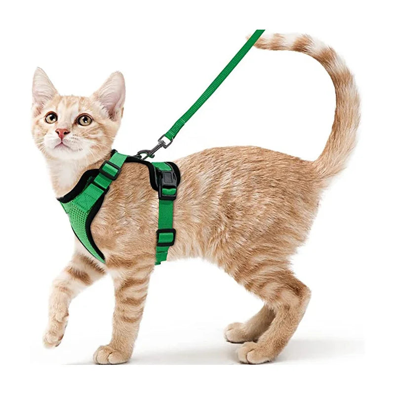 P06 - Cat Harness and Leash for Walking, Escape Proof Soft Adjustable Vest Harnesses for Cats