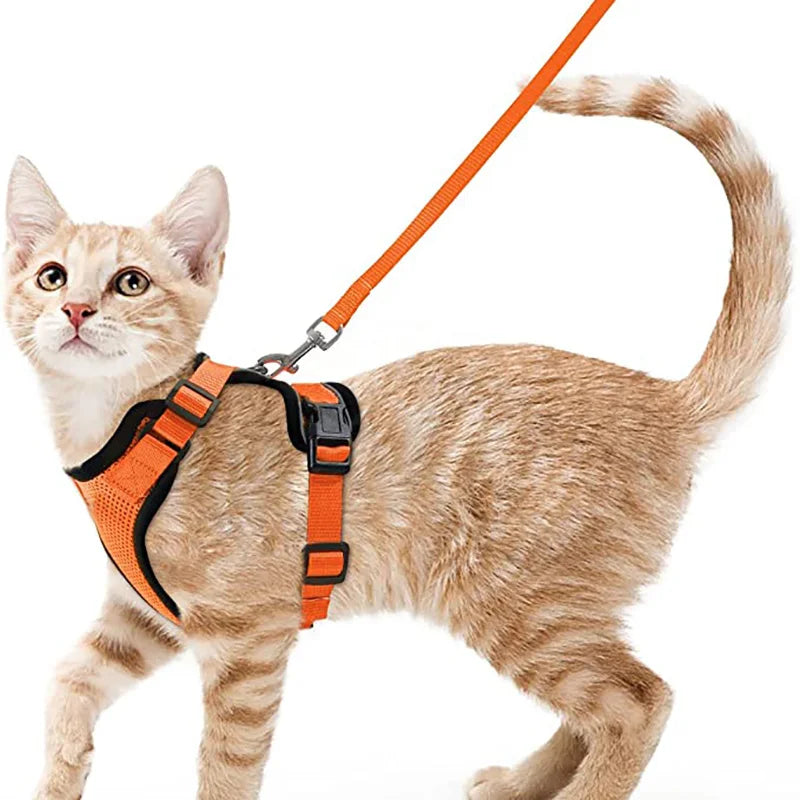 P06 - Cat Harness and Leash for Walking, Escape Proof Soft Adjustable Vest Harnesses for Cats