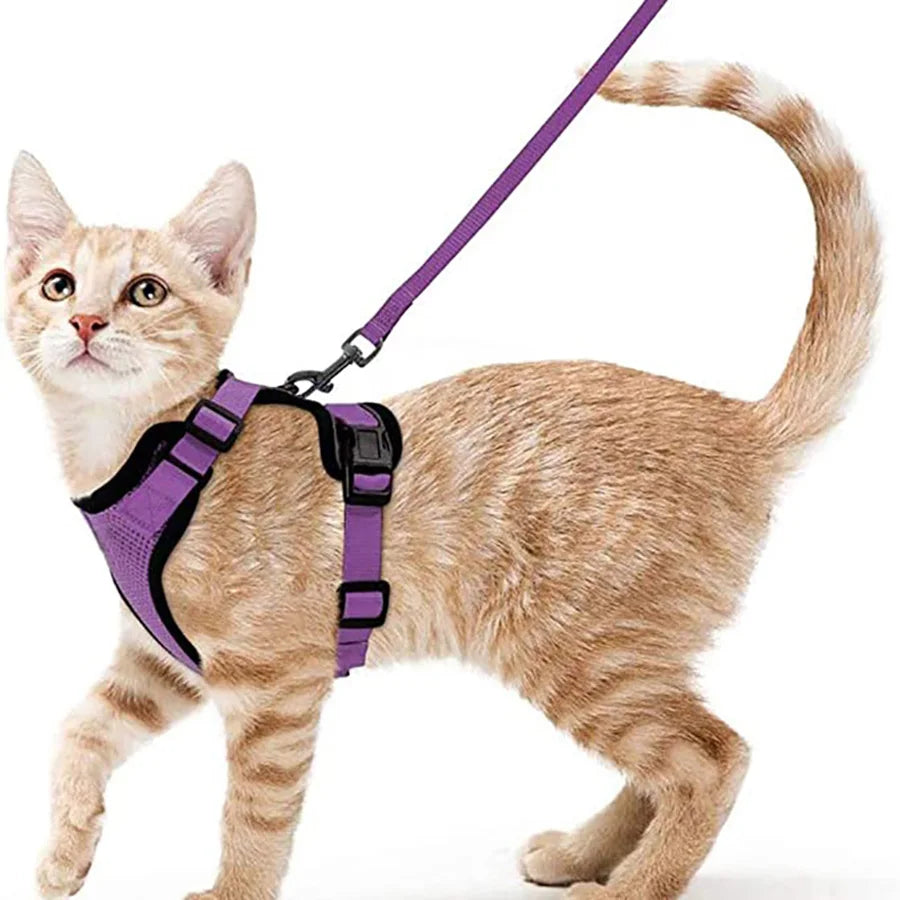 P06 - Cat Harness and Leash for Walking, Escape Proof Soft Adjustable Vest Harnesses for Cats