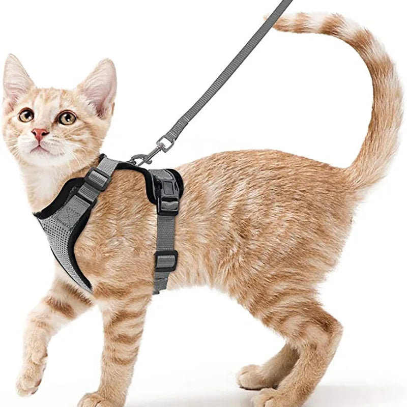 P06 - Cat Harness and Leash for Walking, Escape Proof Soft Adjustable Vest Harnesses for Cats