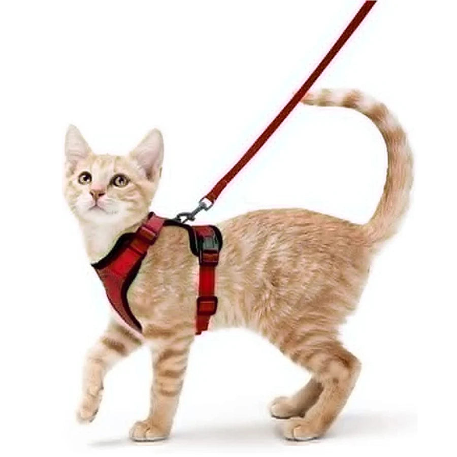 P06 - Cat Harness and Leash for Walking, Escape Proof Soft Adjustable Vest Harnesses for Cats