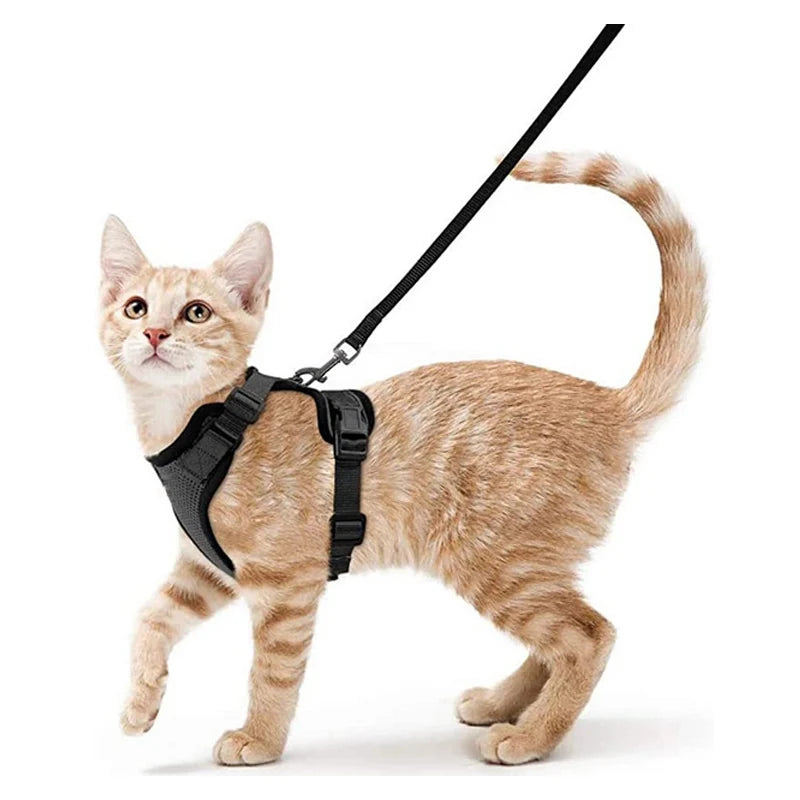 P06 - Cat Harness and Leash for Walking, Escape Proof Soft Adjustable Vest Harnesses for Cats