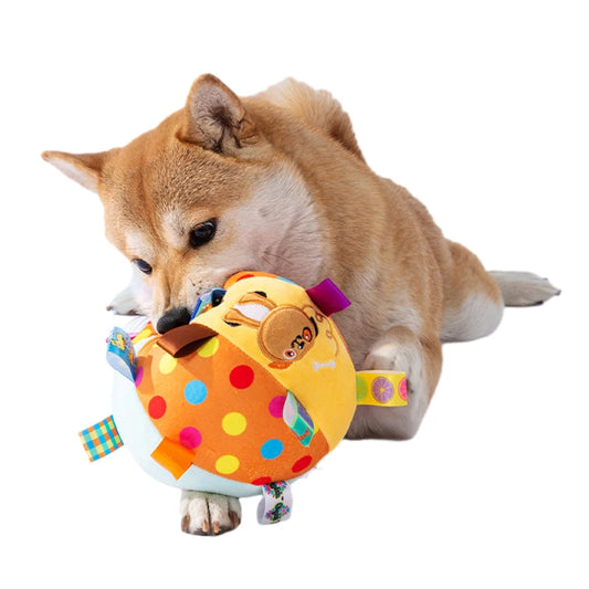 P14 - Interactive Ball Dog Toy