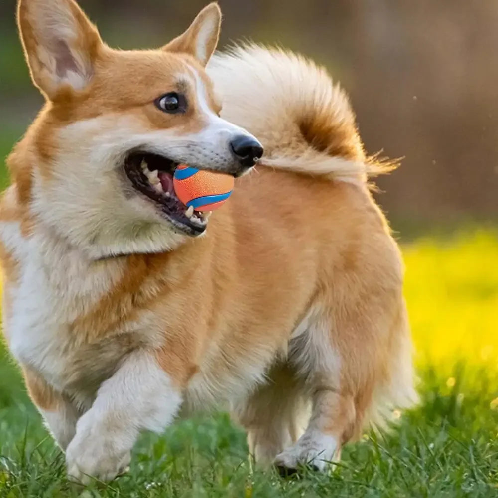P11 - Dog Toy Ball Dog Fetch Ball Toy