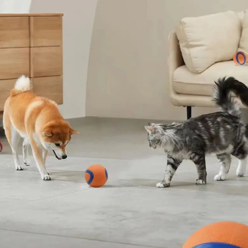 P11 - Dog Toy Ball Dog Fetch Ball Toy