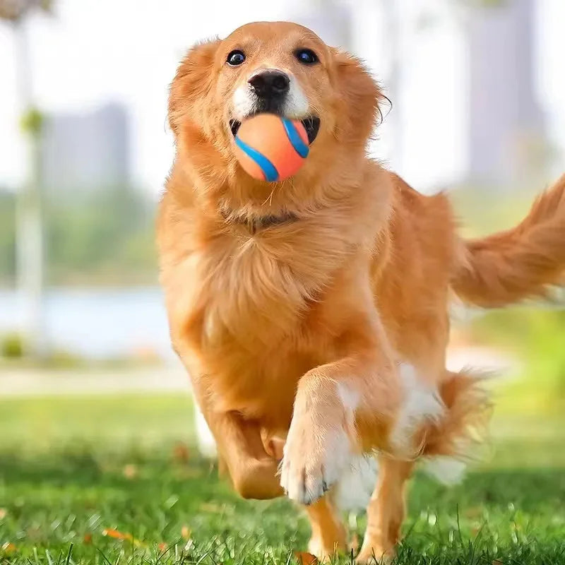 P11 - Dog Toy Ball Dog Fetch Ball Toy