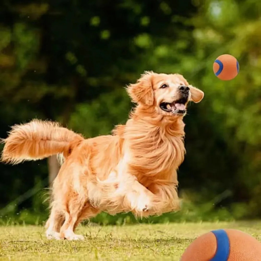 P11 - Dog Toy Ball Dog Fetch Ball Toy