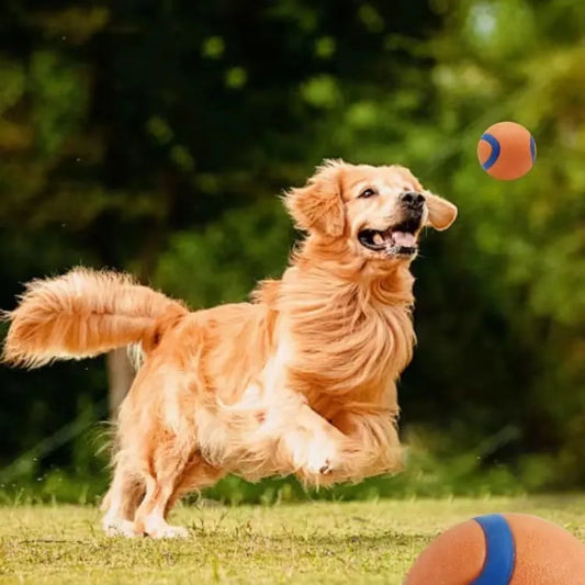P11 - Dog Toy Ball Dog Fetch Ball Toy