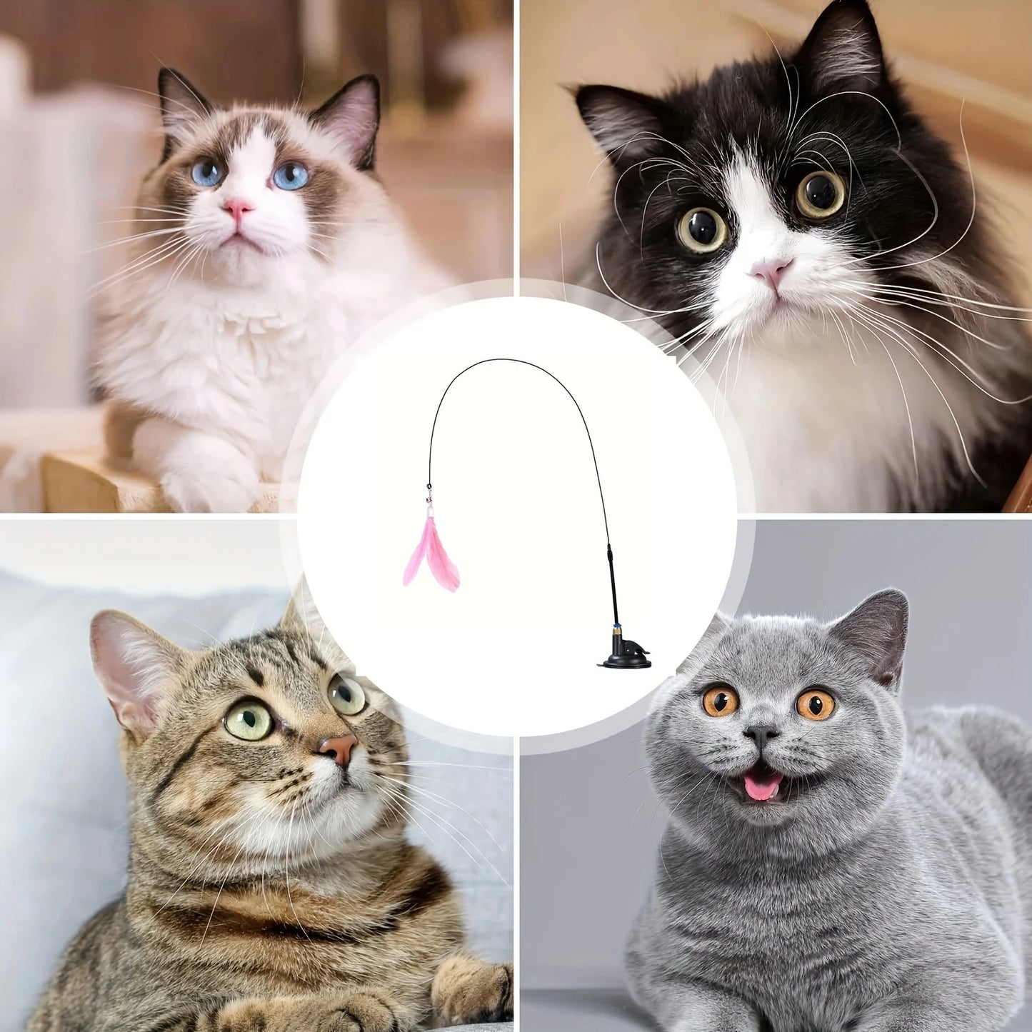 P01 - Cat Teaser Toy