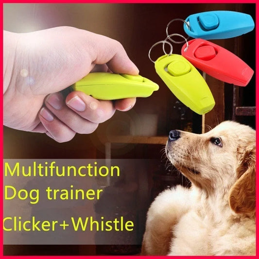 P13 - Dog training whistle