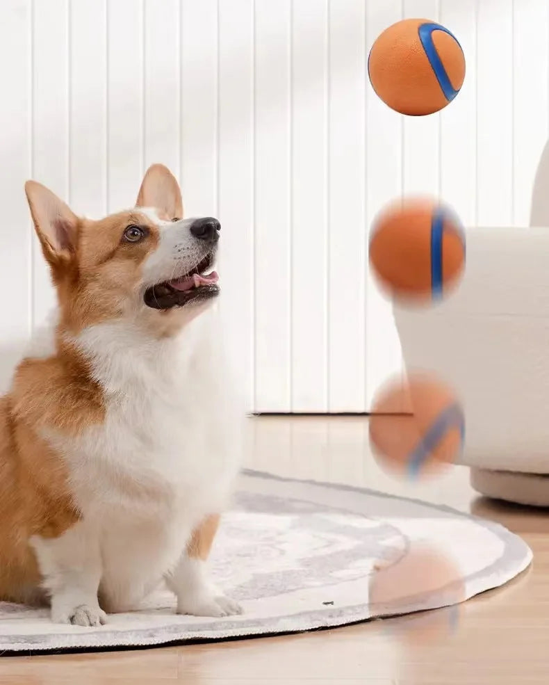 P11 - Dog Toy Ball Dog Fetch Ball Toy