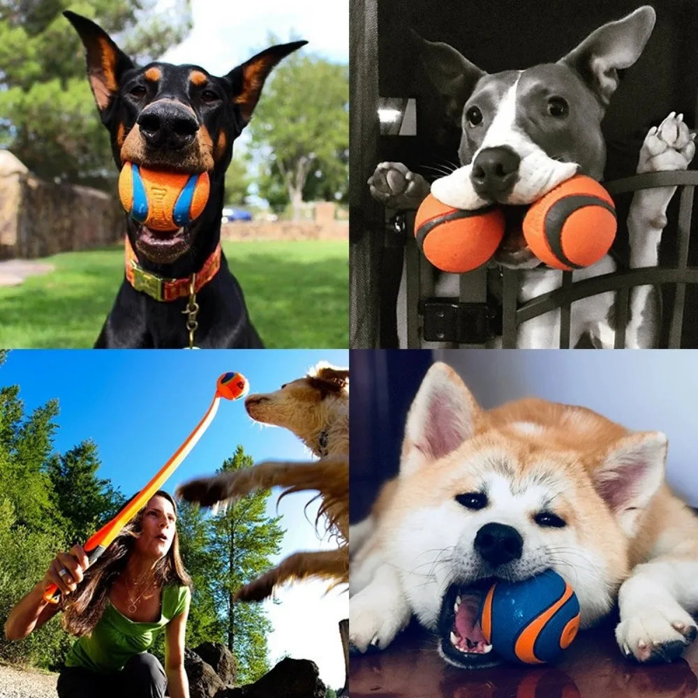 P11 - Dog Toy Ball Dog Fetch Ball Toy